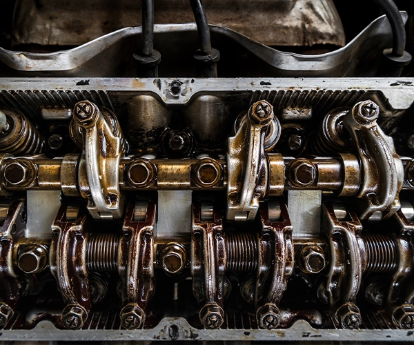 Internals of engine showing camshafts